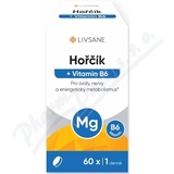 LIVSANE Hok + Vitamin B6 tbl. 60