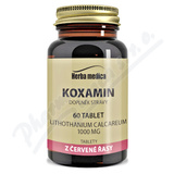 Koxamin 1000mg tbl. 60